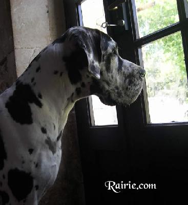 Upsaline Des Terres De La Rairie