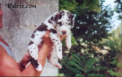 Upsaline Des Terres De La Rairie