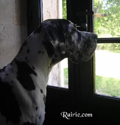 Upsaline Des Terres De La Rairie