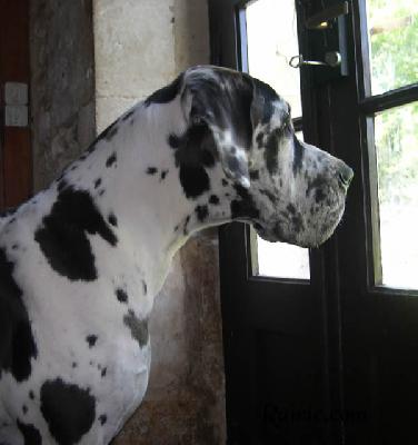 Upsaline Des Terres De La Rairie