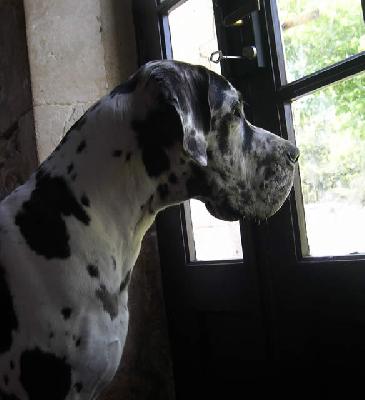 Upsaline Des Terres De La Rairie