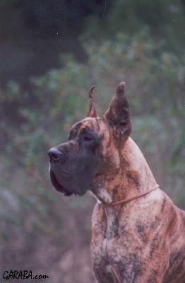 Beraca De Vi�azas