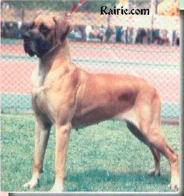 Fantasy Fiesta Volarius