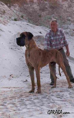 Roy De Petites Vernieres