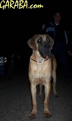 Pin Pan Pun Fuego De Garaba