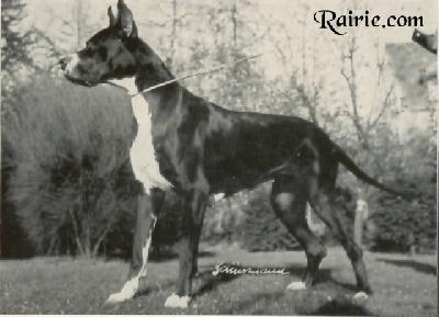 Ch Britta Von  Schloss Waldhausen
