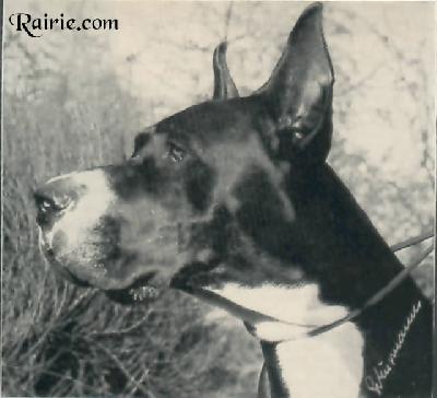 Ch Britta Von  Schloss Waldhausen