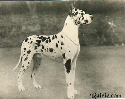 Heinz Von Urbachriesen