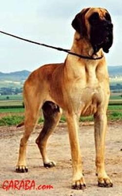 Paris Des Petites Vernieres