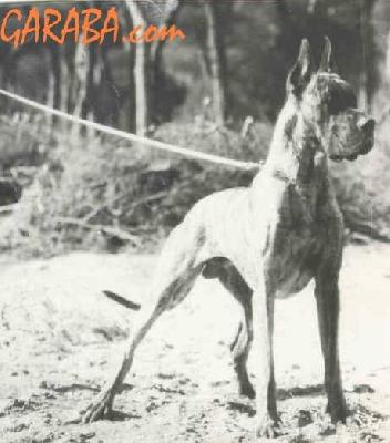 Ch Dunkel Von Seefeld