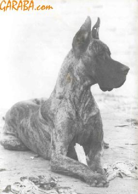 Ch Dunkel Von Seefeld