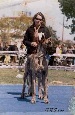 Rachel Des Petites Vernieres