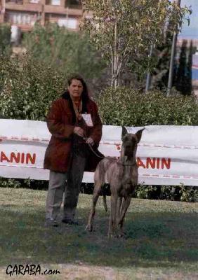 Rachel Des Petites Vernieres