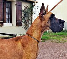 Nirvana Des Petites Vernieres