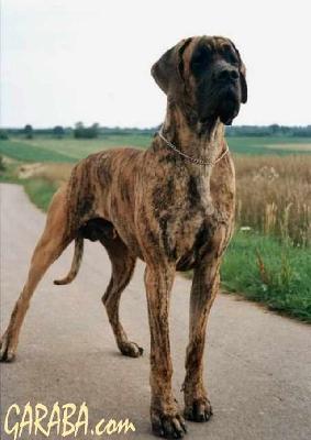 Xavier Von Rotscheid