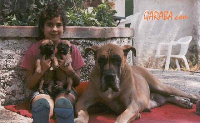 Ivresse Nocturne Des Petites  Vernieres