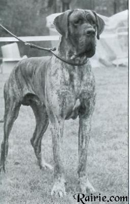 Billy-boy Vom House Of Dreams