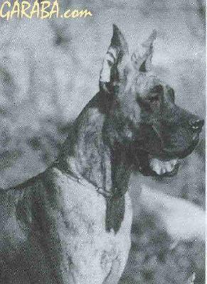 Jodie-foster De Garaba