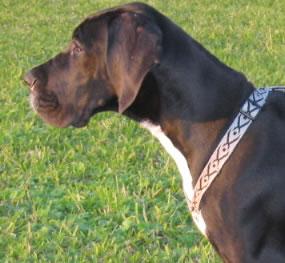 Umeine Des Terres De La Rairie