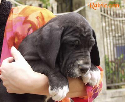 Umeine Des Terres De La Rairie