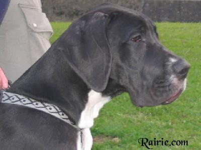 Umeine Des Terres De La Rairie