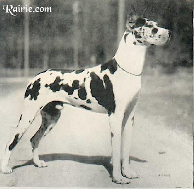 Baron Von Der Bad Stadt Schwaeb-hall