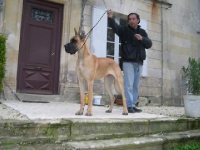 Urielle Des Terres De La Rairie