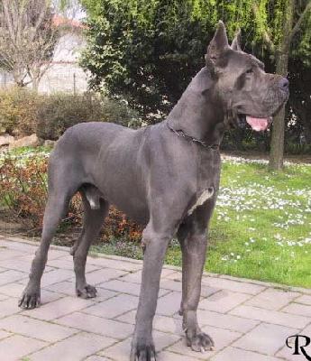 Omar B Della Baia Azzurra