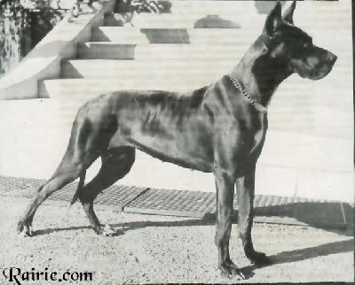 Ute Funcken Von Der Heide