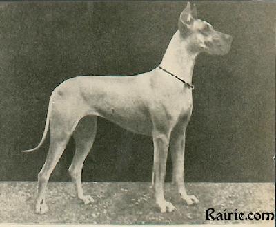 Barbara Von Mecklenburg