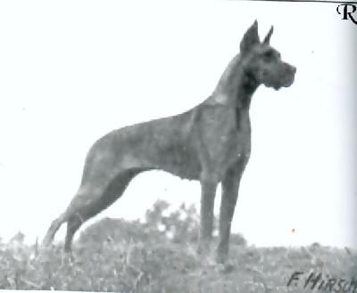 Dixi Von Schloss Dellwig