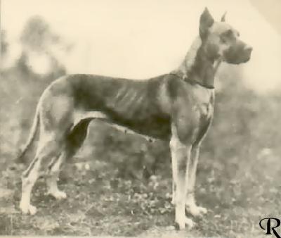 Thyla Von Sonnenberg