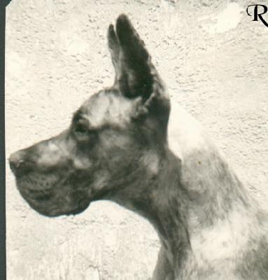 Socky Des Terres De La Rairie