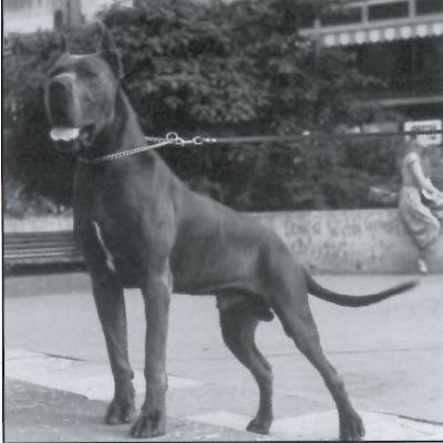 Quarter Off Ten Pin Bouls