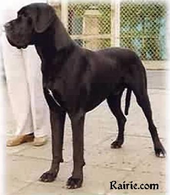 Othello Vom Blauen See