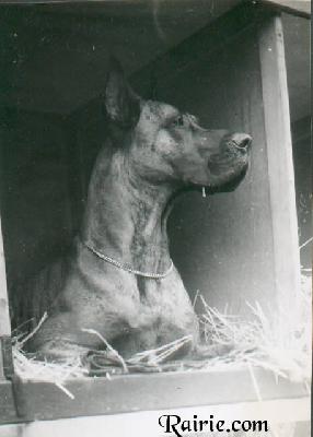 Ch Yago De La Templerie