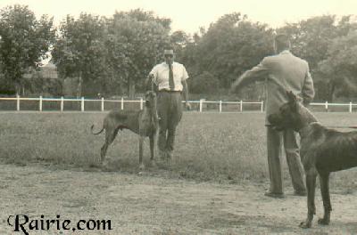 Ch Yago De La Templerie