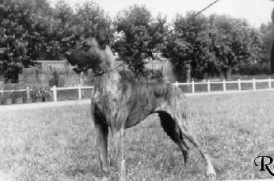 Ch Yago De La Templerie