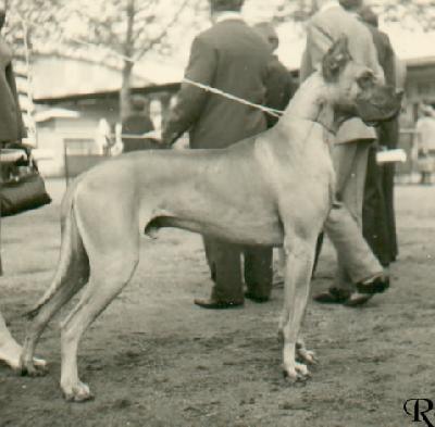 Fancy De La Templerie