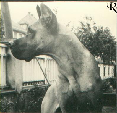 Fancy De La Templerie