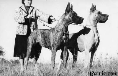 Bianka De La Templerie