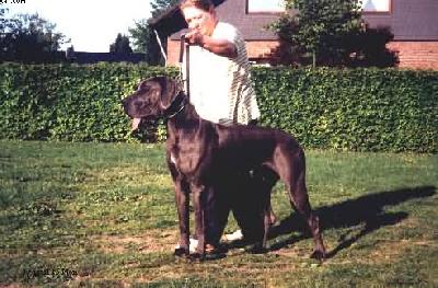 Abigail-kira Vom Rursee