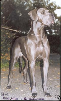 Ken �wille� Vom Panoramaweg