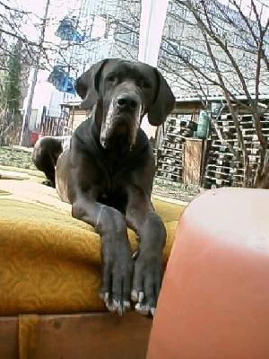 Tanja Von Der Ofnethhle