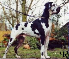 Ira Hayes Von Der Burg Diana