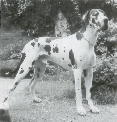 Carlos Vom Prinzipat