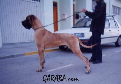 Kwai Vom Schlo Laupheim