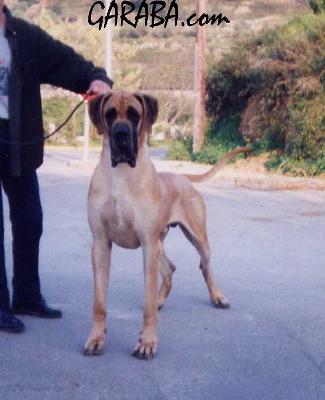 Kwai Vom Schlo Laupheim