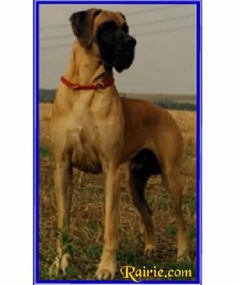 Cord Vom Dunner Land