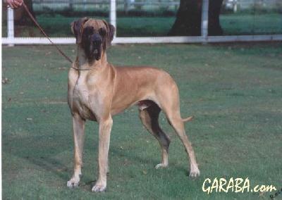 Cord Vom Dunner Land